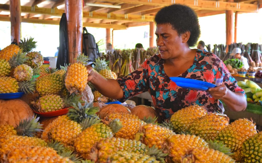 10 Best Things to Do in Suva, Fiji